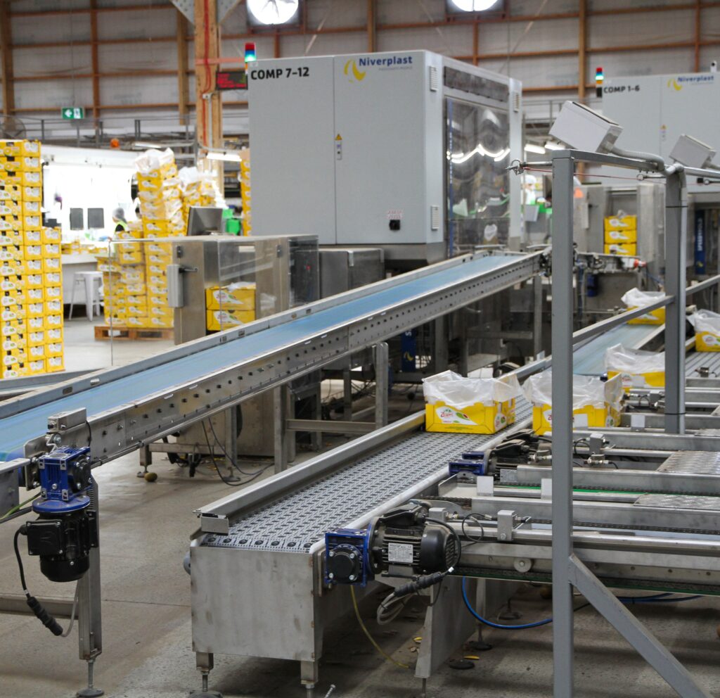 Arkmus Conveying