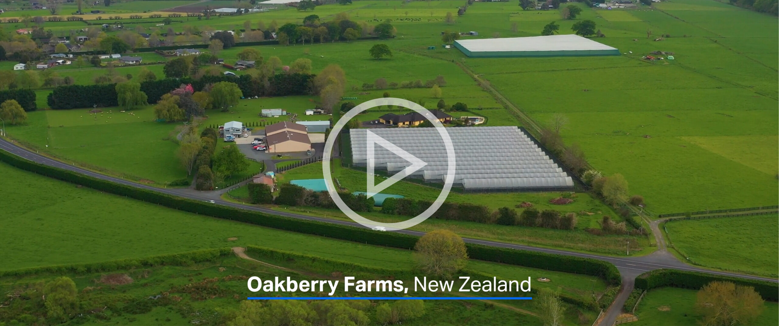 Oakberry Farms case study