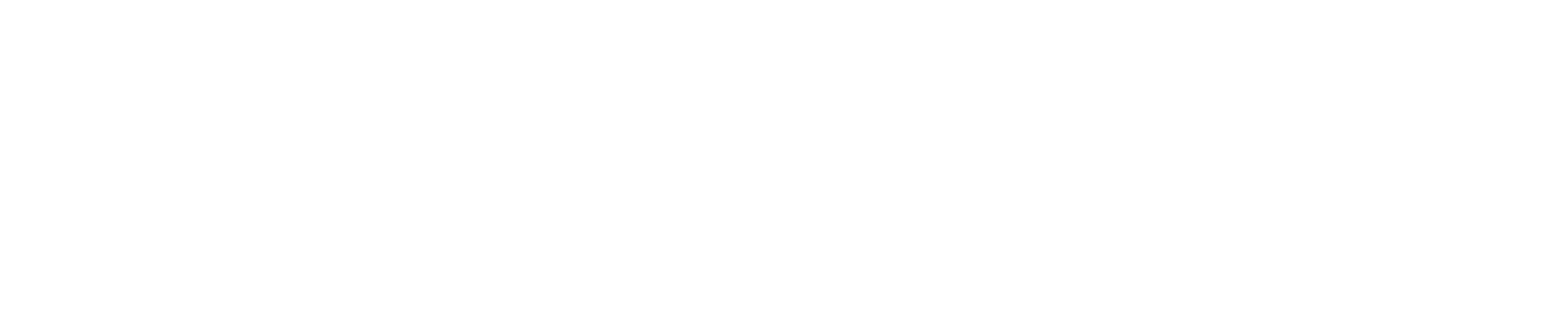200 x 40 white Logo